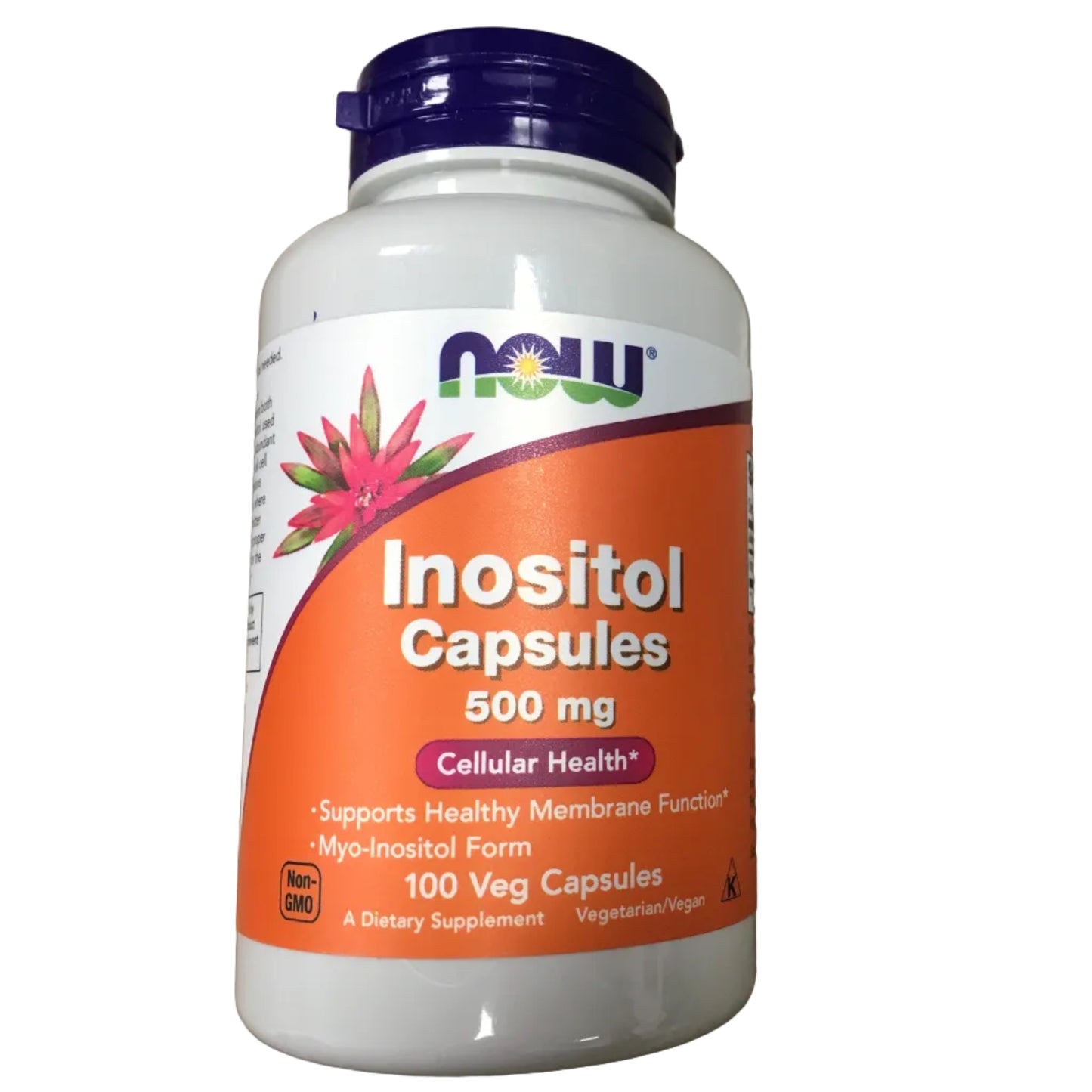 Inositol Capsules 500mg 100 ct