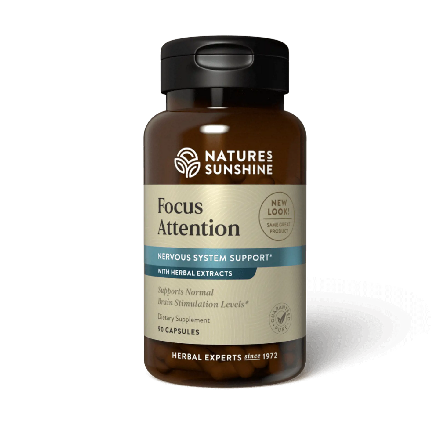 Focus Attention