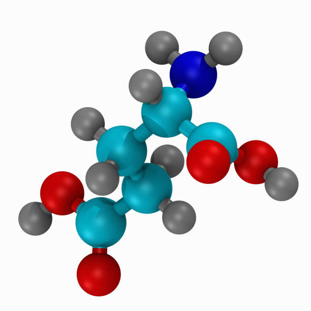 Amino Acids