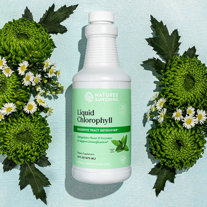 Liquid Chlorophyll 16oz