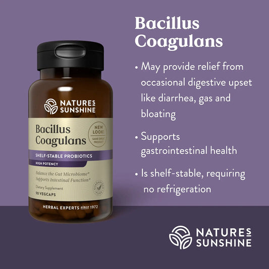 Bacillus Coagulans 90ct