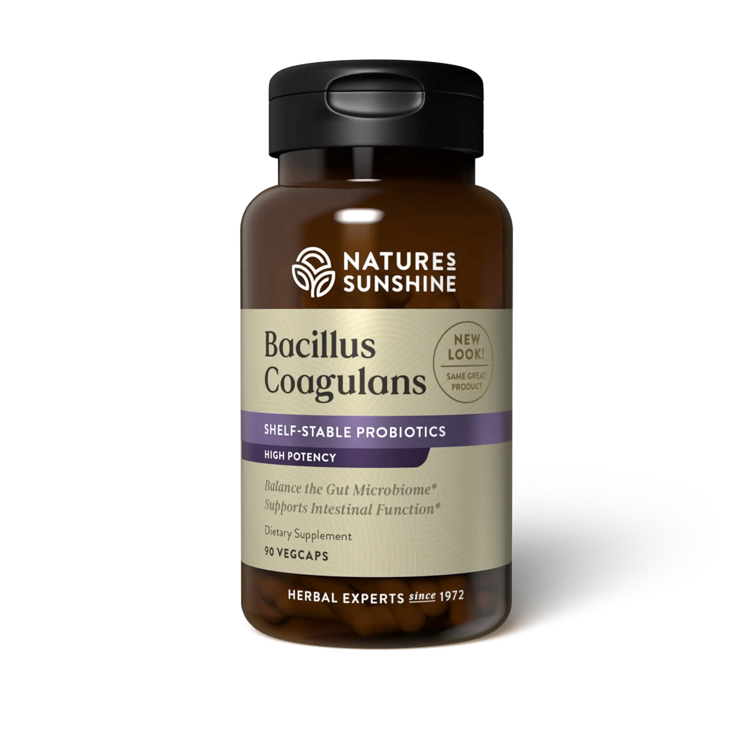 Bacillus Coagulans 90ct