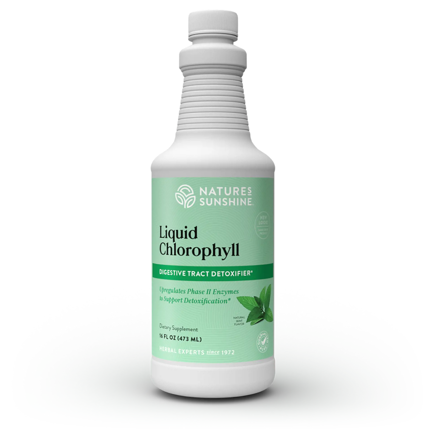 Liquid Chlorophyll 16oz