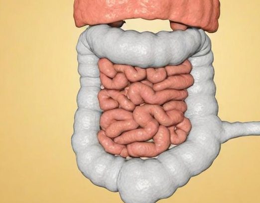 Colonic hydrotherapy at The Natural Life